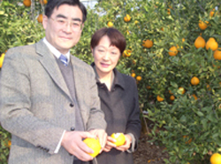 広津素子